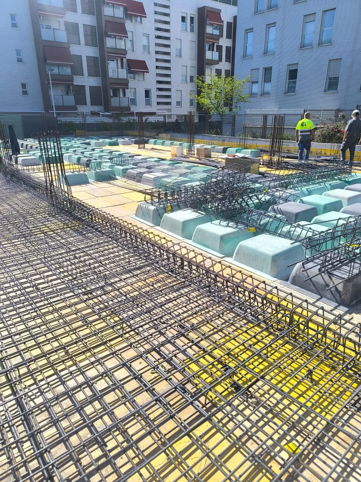 Tempranales 4
